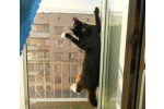 Сетка на окно «антикошка» – защитник домашних питомцев