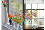 Как сделать окно красивым и оригинальным